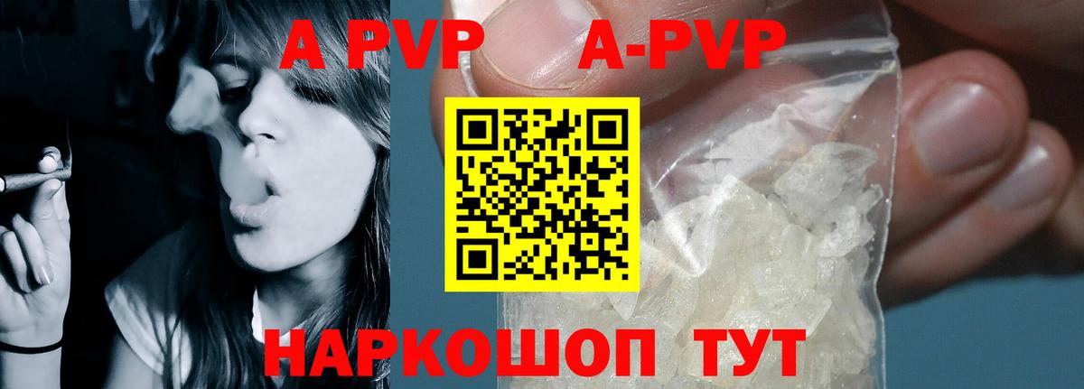 Альфа ПВП СК КРИС Бердск