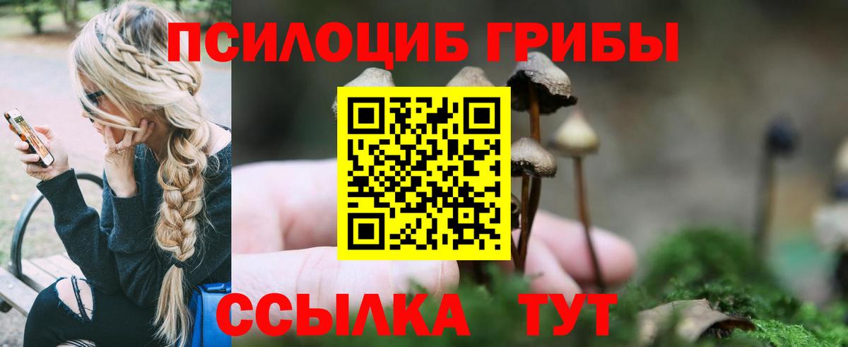Псилоцибиновые грибы Psilocybine cubensis  Вход с VPN  Псилоцибиновые грибы мухоморы  Бердск 